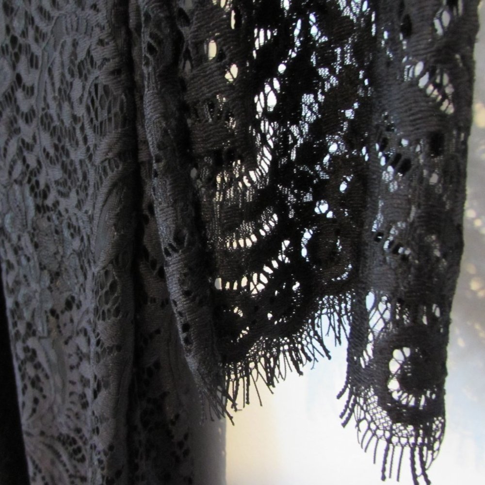 Stella Luce Black Lace Cocktail Dress - Picture 2 of 12